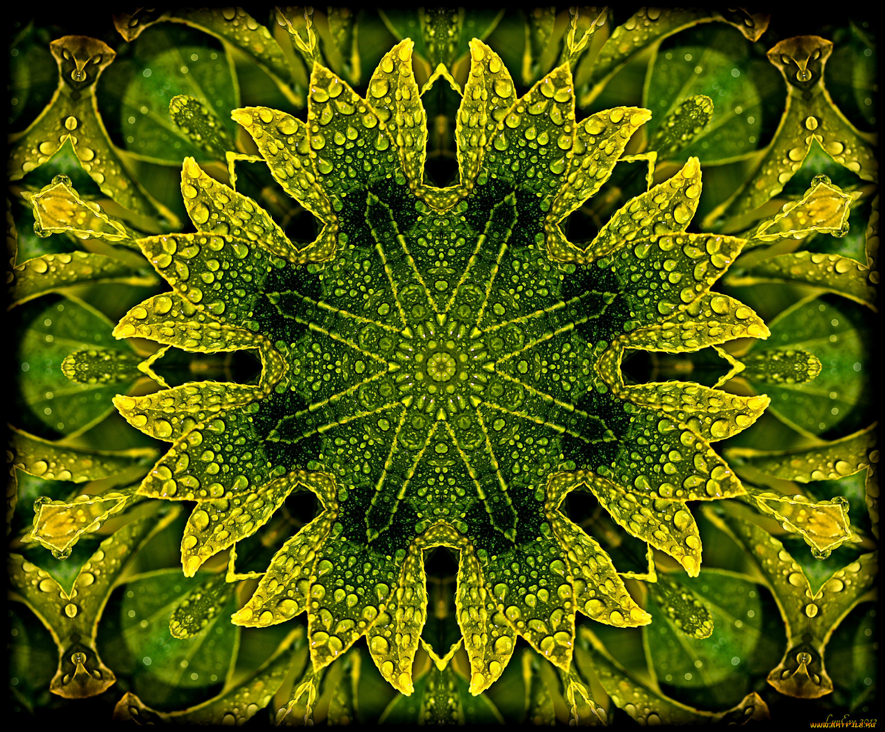 3, , fractal, , , , 